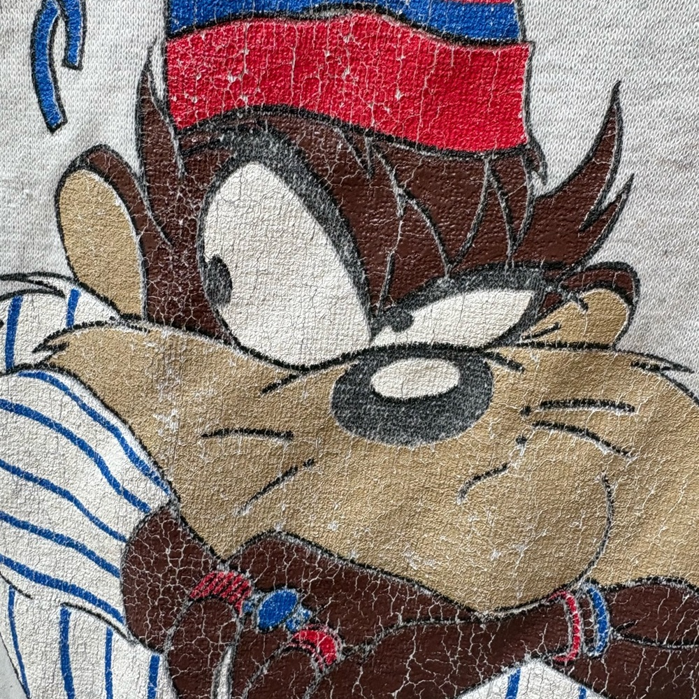 Vintage Taz Looney Tunes crewneck